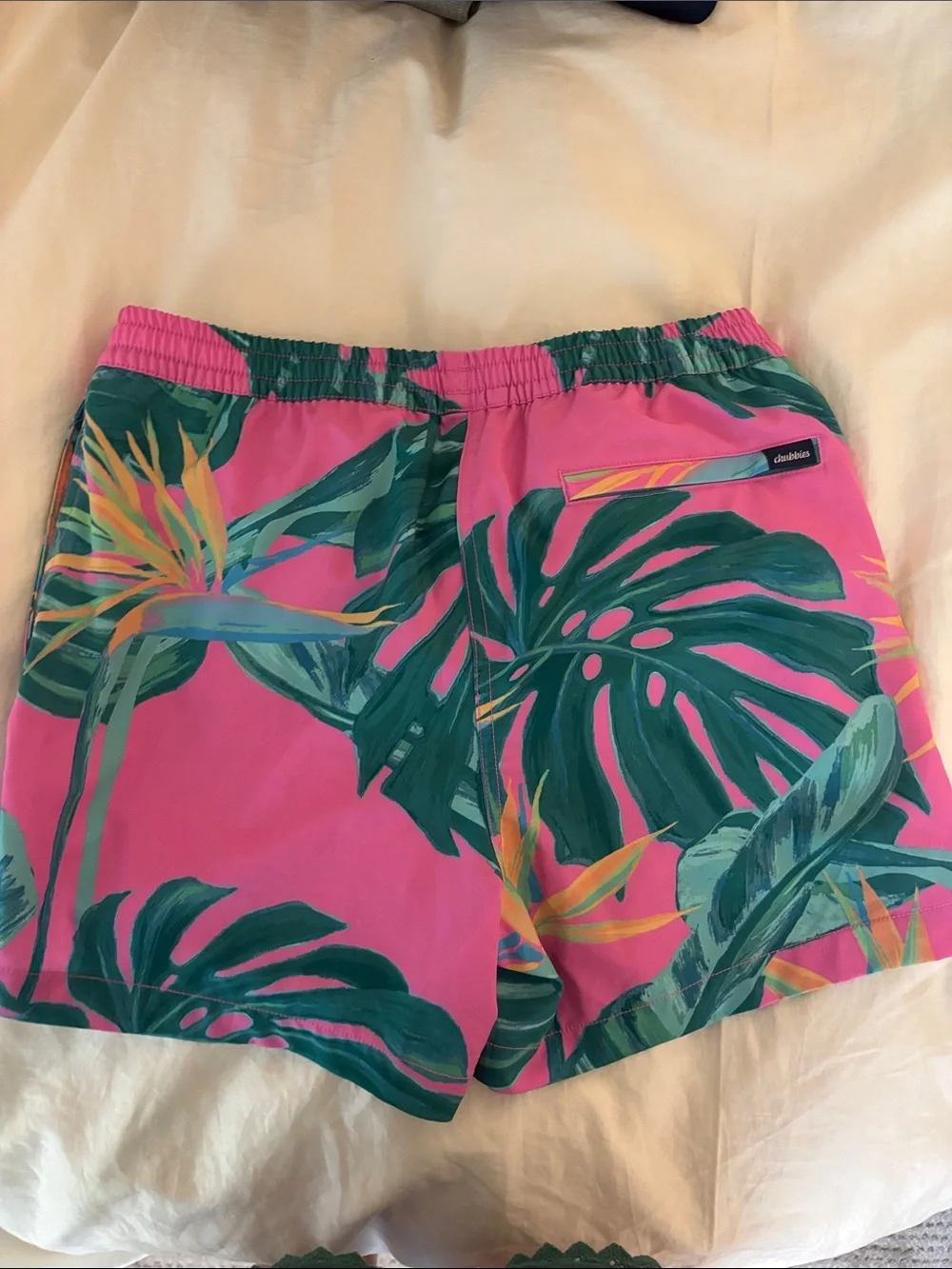 chubbies Teal and Pink Retro Swim Trunks